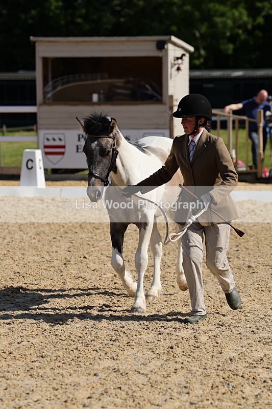 1X9A0672 - Class 3: Youngstock 1, 2, 3 year old not to exceed 153cm