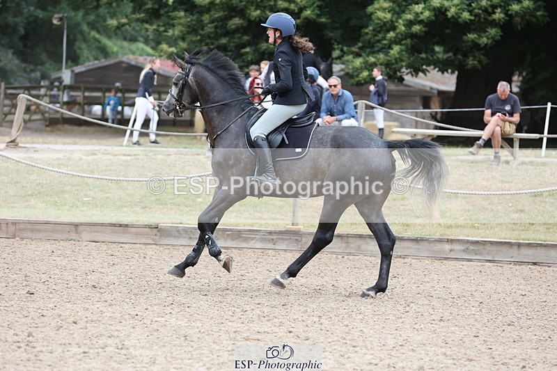 250705A-120612-14184 - Cls 34 4 Year Old Qualifer