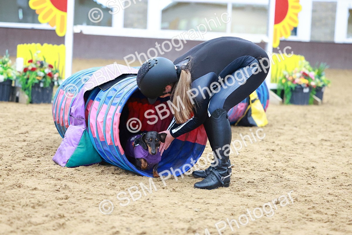 SBM_001607 - Class 3 - Horse & Hound (60cm)