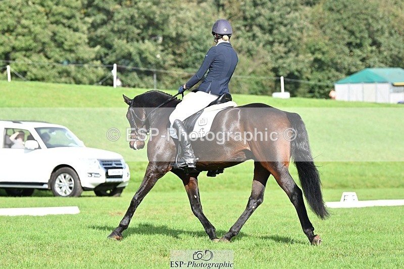 231020-111028-07806 - 645-COOLEY.CORPELLO-Francesca.Swallow-DR