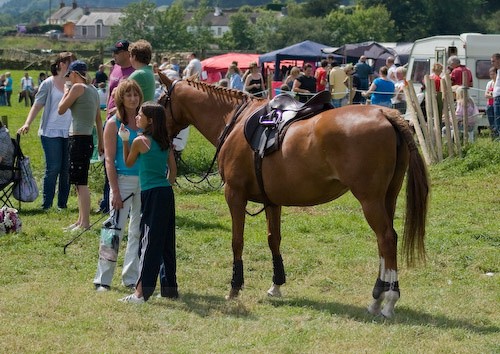 104 - Moniaive Horse Show 2008
