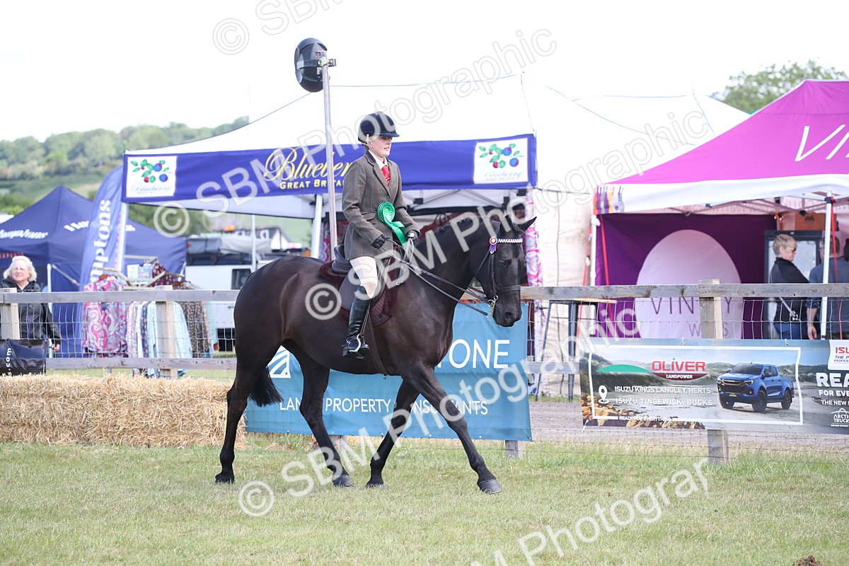 SBM_13292 - Class 95-96 - LIHS BSHA Rising Star Hack Riding Horse