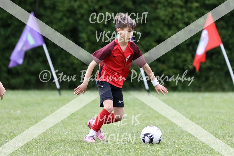 1DX30890 - Brook Field V Goddard Park