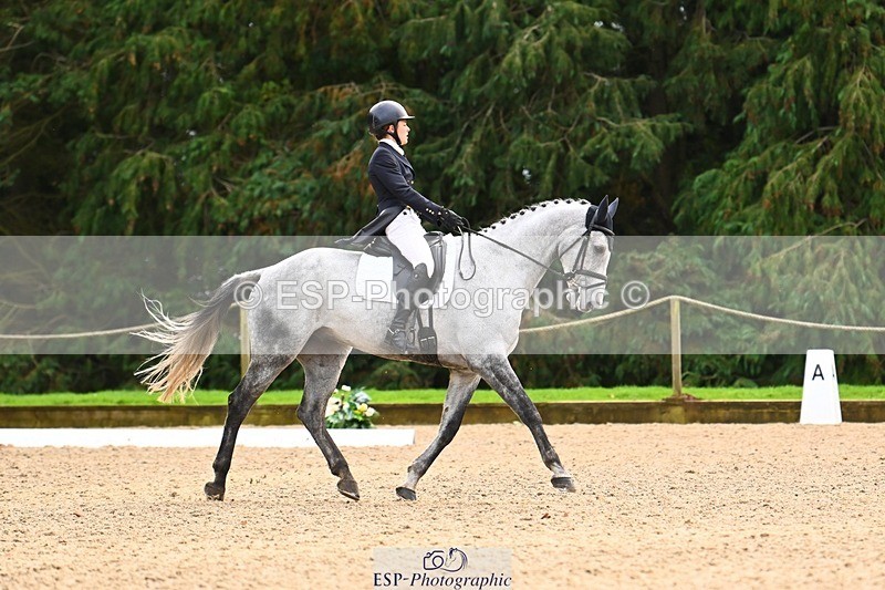 231021-135112-18574 - 248-KINGS.LANE-Liberty.Smith-DR