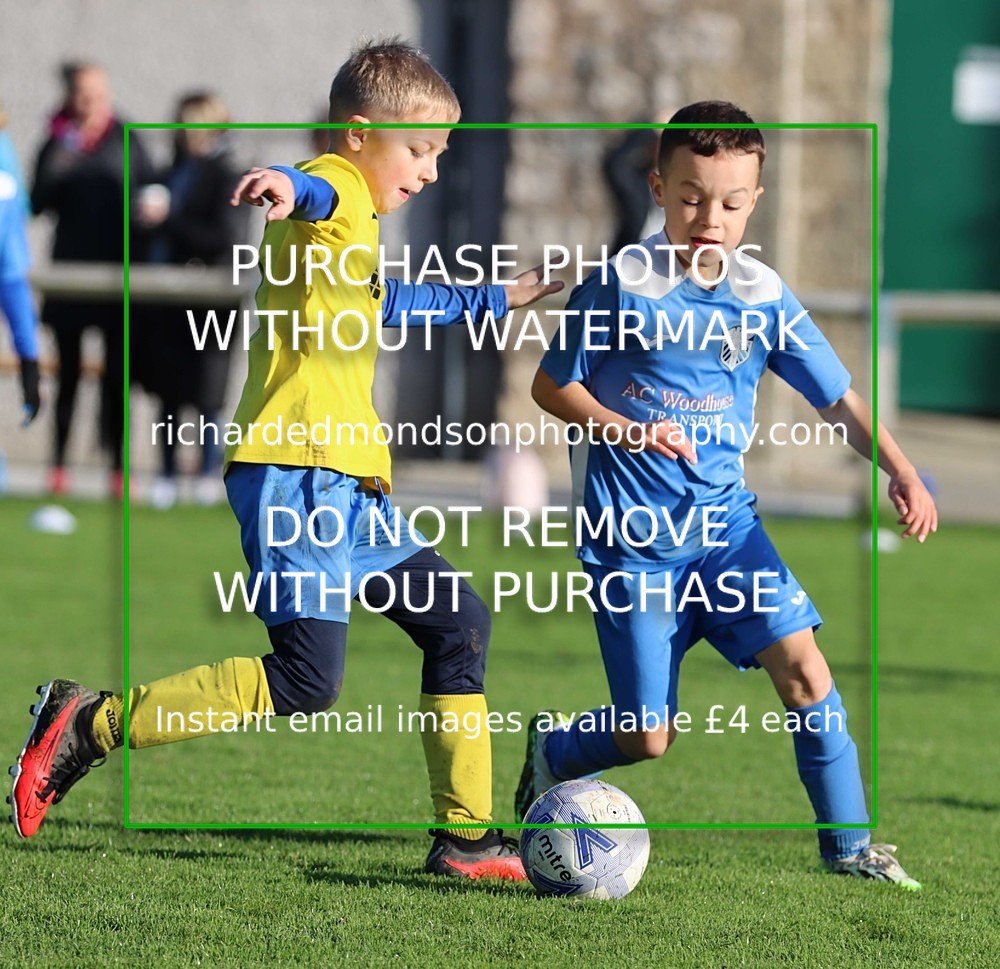 IMG_6773 - Wattsfield Under 9's