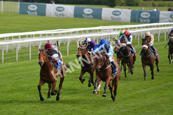 yr13052021r6-28 - Race 6 4.15pm Constant Security EBFstallions.com Maiden Stakes