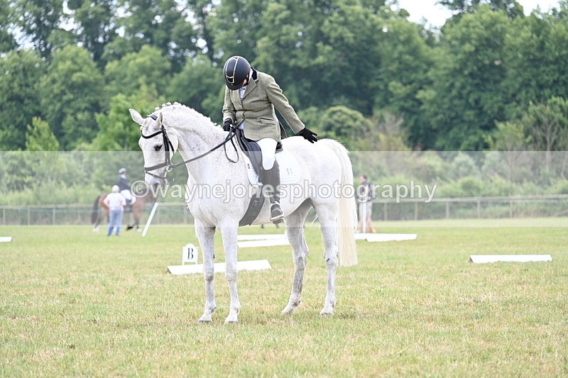 WJ7_5202 - Time 11:22 to 11:51