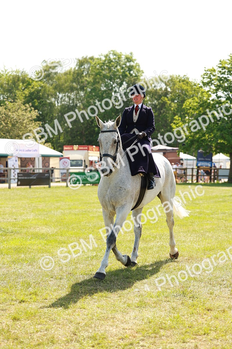 SBM_13367 - Class 70-71 - Side Saddle