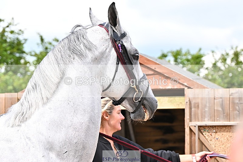 240718A-105236-00896 - Trot Up 11am to 12pm