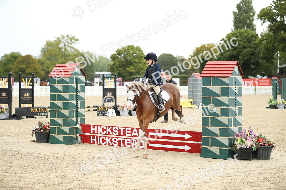 SBM_34528 - J60 Clear Round 50cm