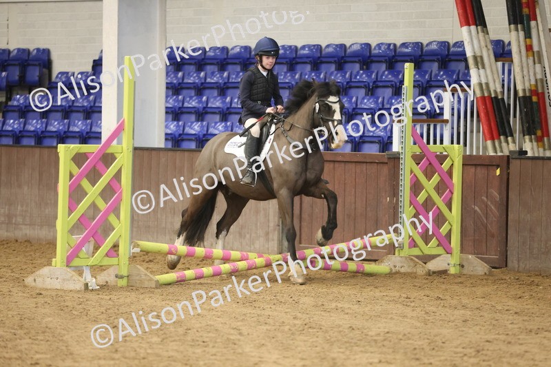 20260321-0611 - Class 2 - 40cm