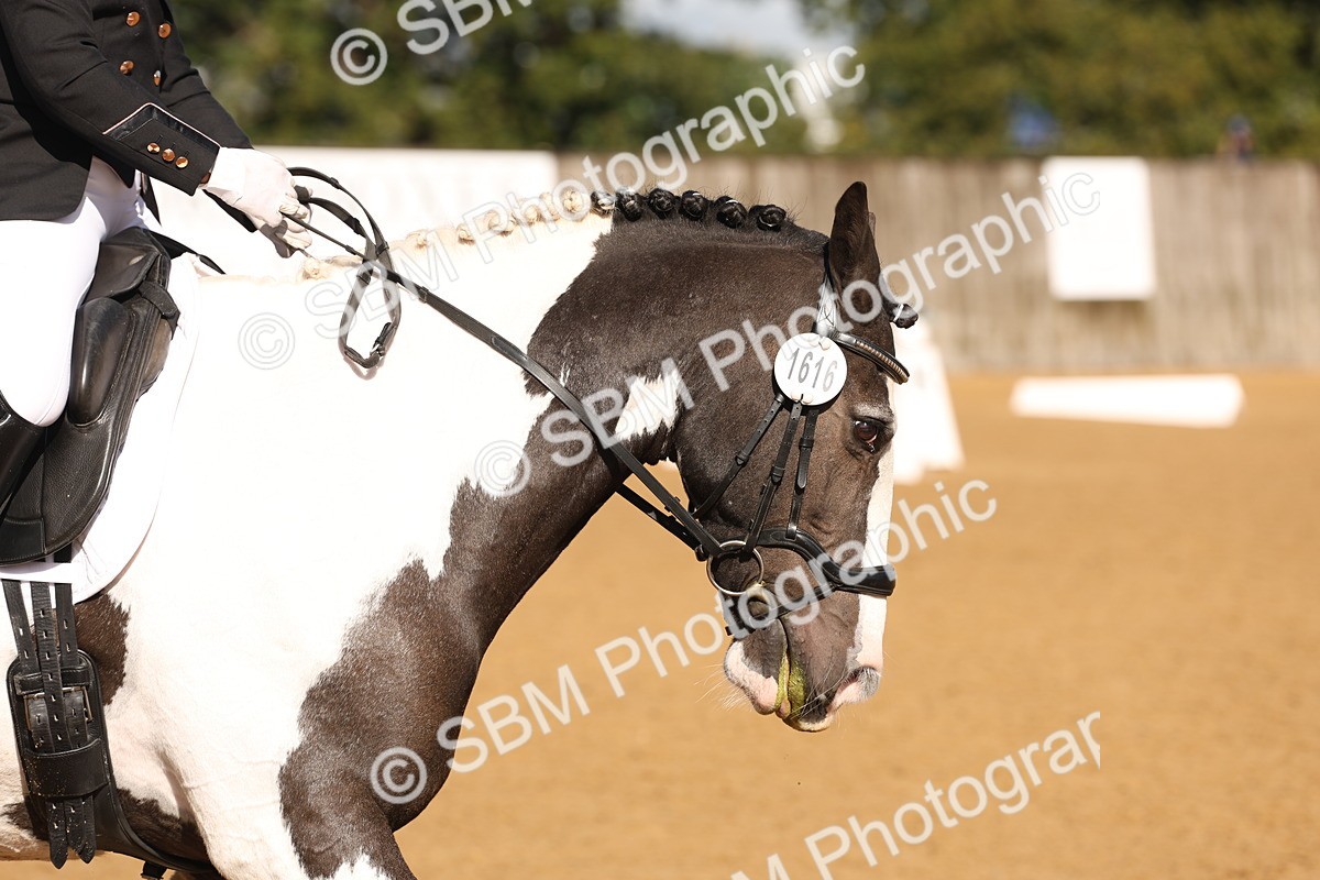 SBM_37642 - D18 - Grand Tour Championship Novice 2