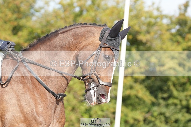 250817-095948-07949 - 097-Susie.CullenSir.Safir.Caledonia