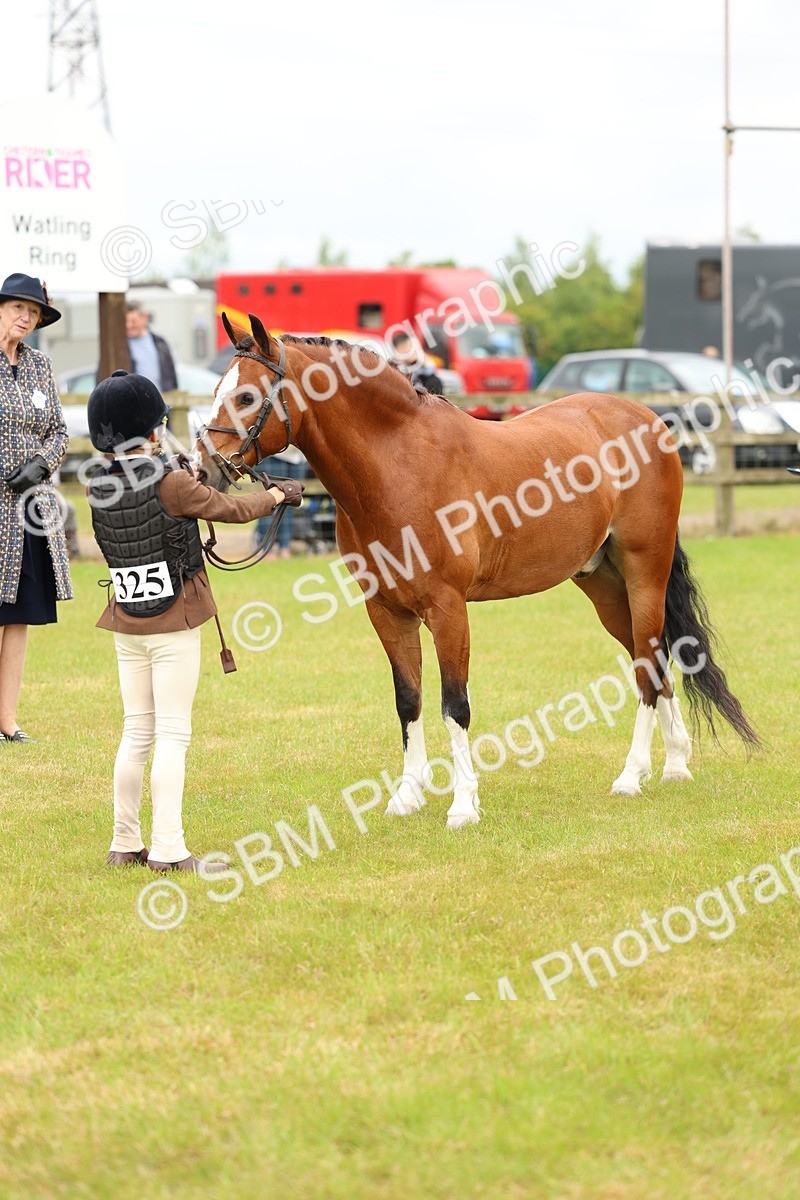 SBM_10254 - Class 44-45 - LIHS BSPS Open Nursery and Cradle Stakes