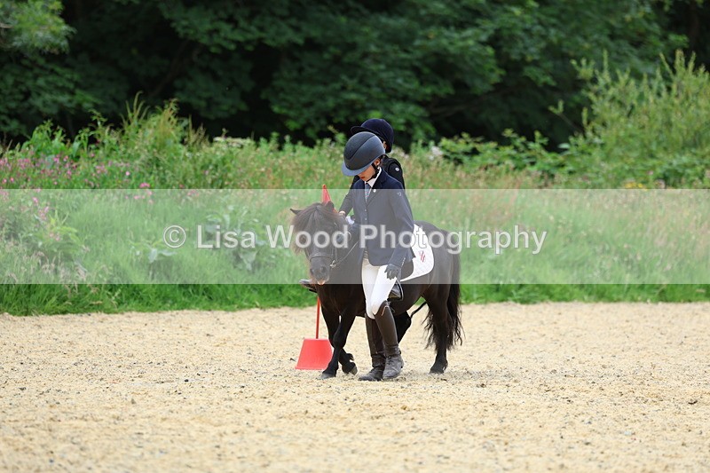 3E7A9507 - Walk trot run