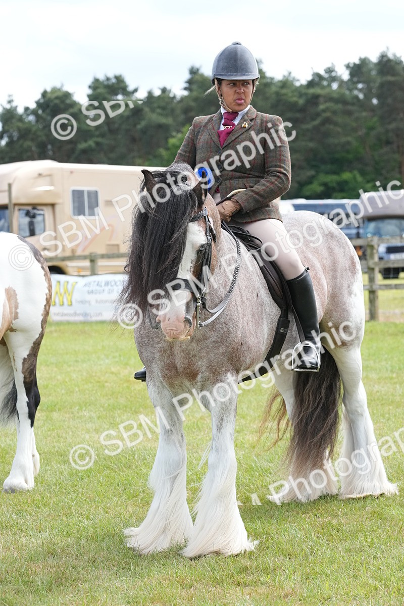 SBM_17323 - Class 107-108 - LIHS BSPS Performance Coloured Horse Pony