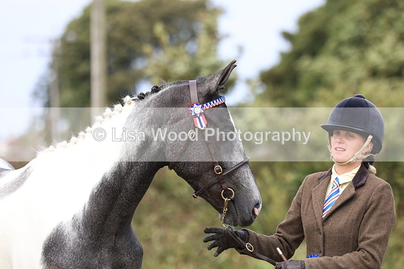 3E7A5444 - Class 19: Best Coloured in Hand