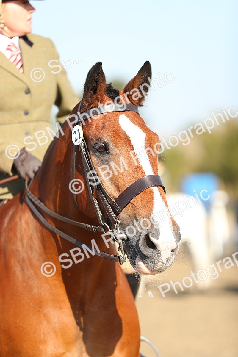 SBM_00433 - Class 41 Best Turned Out Ridden