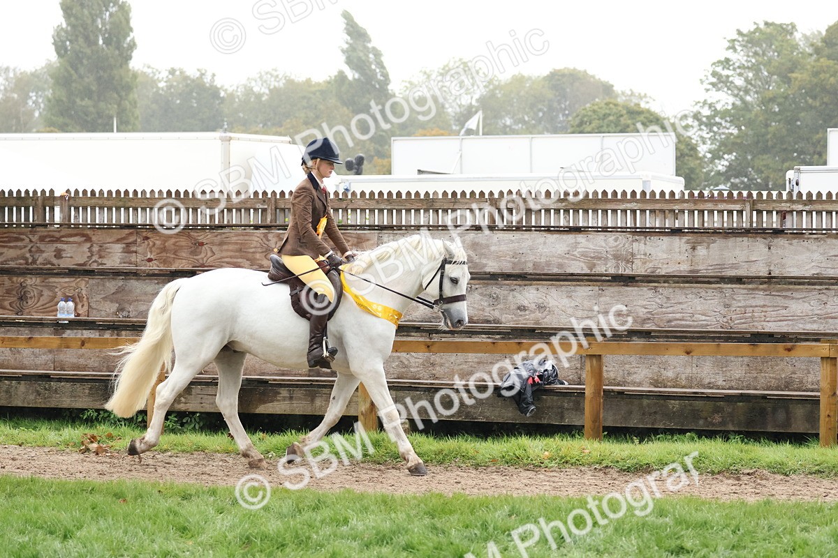 SBM_73103 - Ridden Pony Supreme Championship