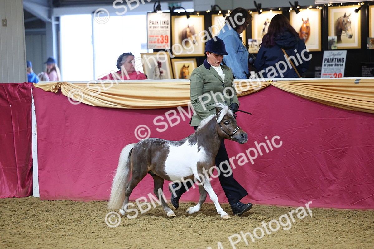 SBM_22819 - Class 903 - Supreme Final - IH Pre Vet