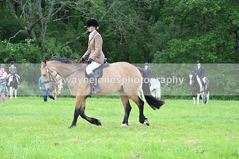 WJ7_2534 - Class 12A Coloured Class