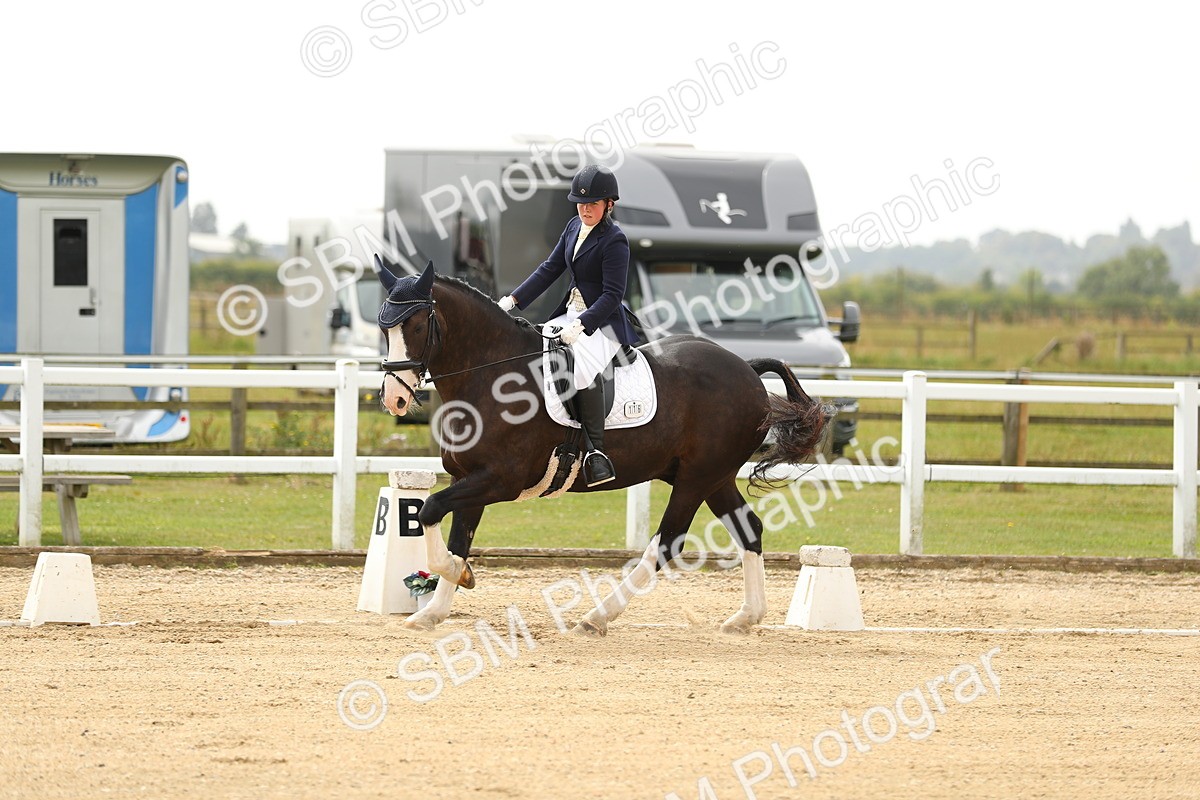 SBM_017248 - Class 13 - Novice 23 - 13.31-14.13