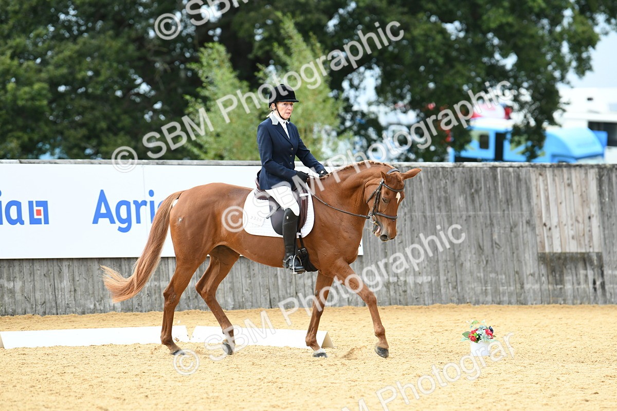 SBM_11004 - D28 Elementary Taster Elementary 42