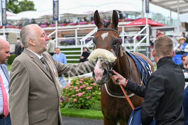 120724-Race 1-Tolstoy-5665 - Race 1 2.05pm William Hill Extra Place Races Daily Handicap