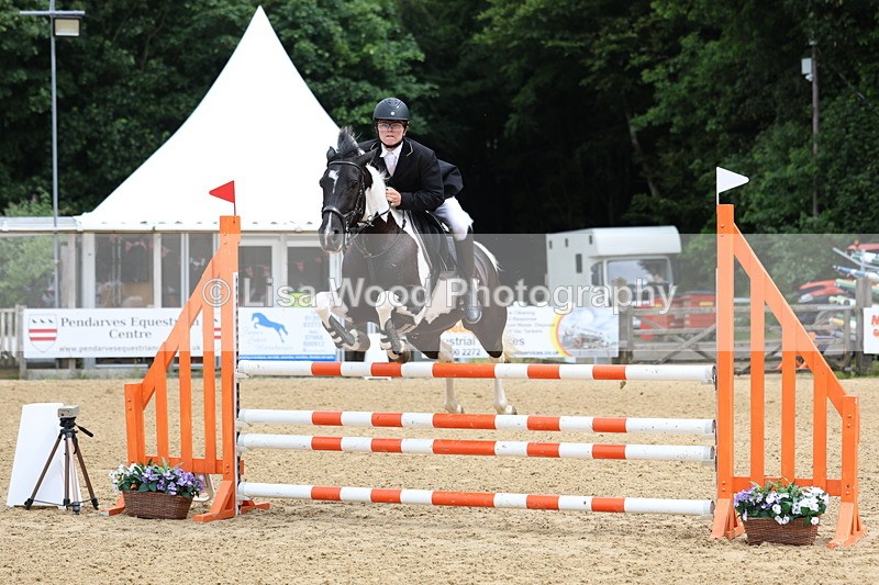 3E7A6173 - Class 4: Senior British Novice/90cm open