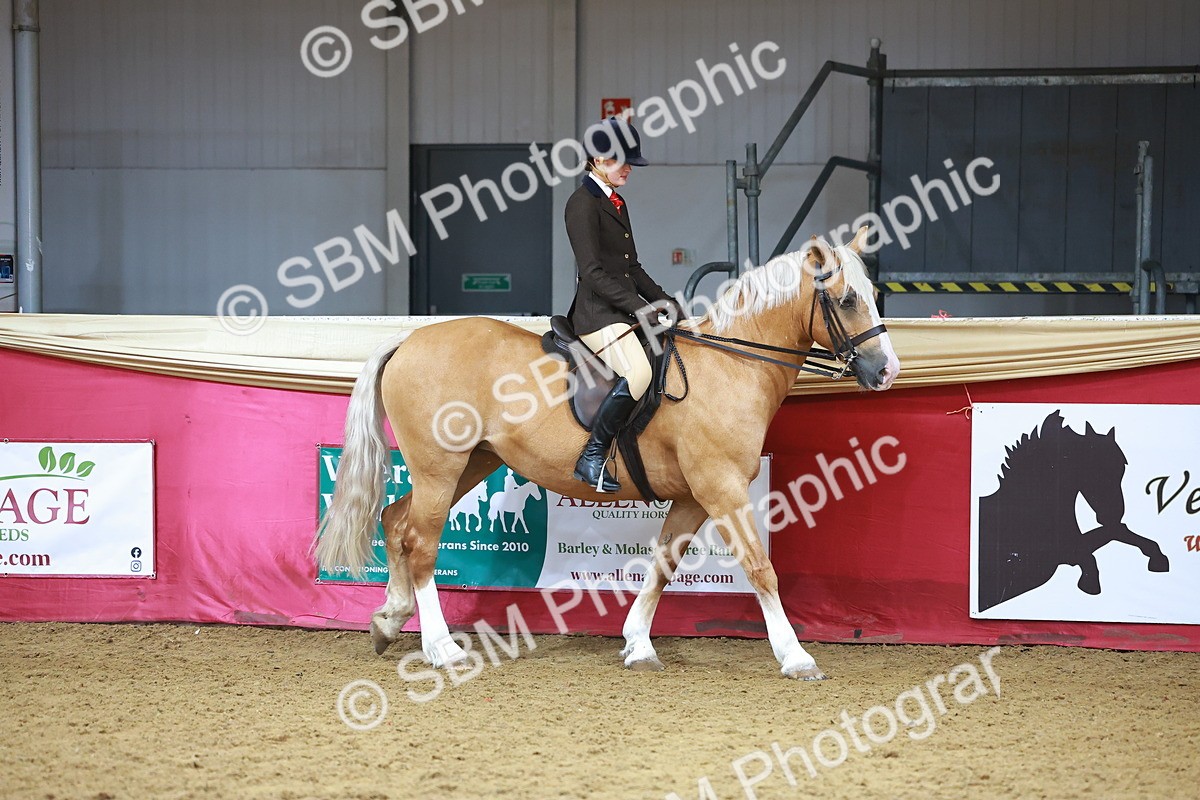SBM_09360 - Class 102 - HOYS Veteran Qualifier - Ridden Veteran