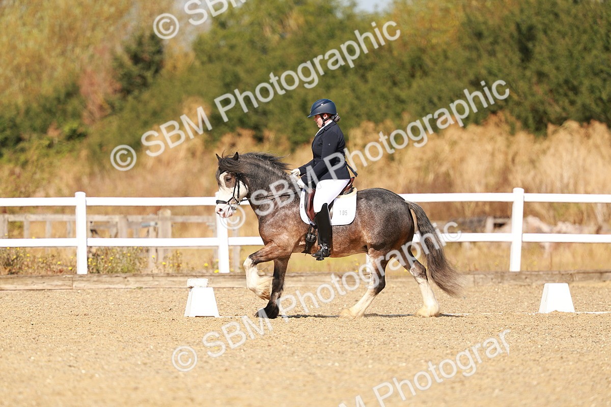 SBM_017797 - Class 9 - N5 Bronze 10.33.11.36