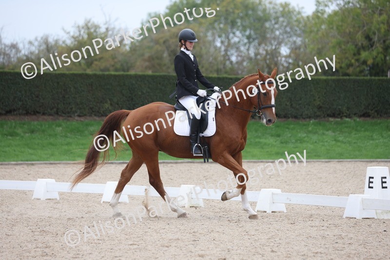 20251011-0586 - Class 4 - Novice 2