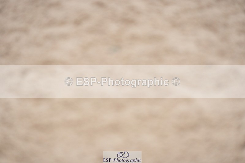 230924A-123118-04777 - 100 SJ 12.00 to End