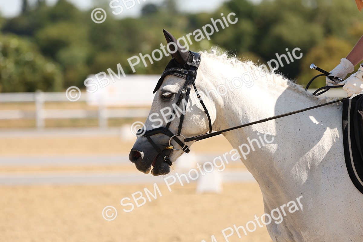 SBM_001108 - Intro 2