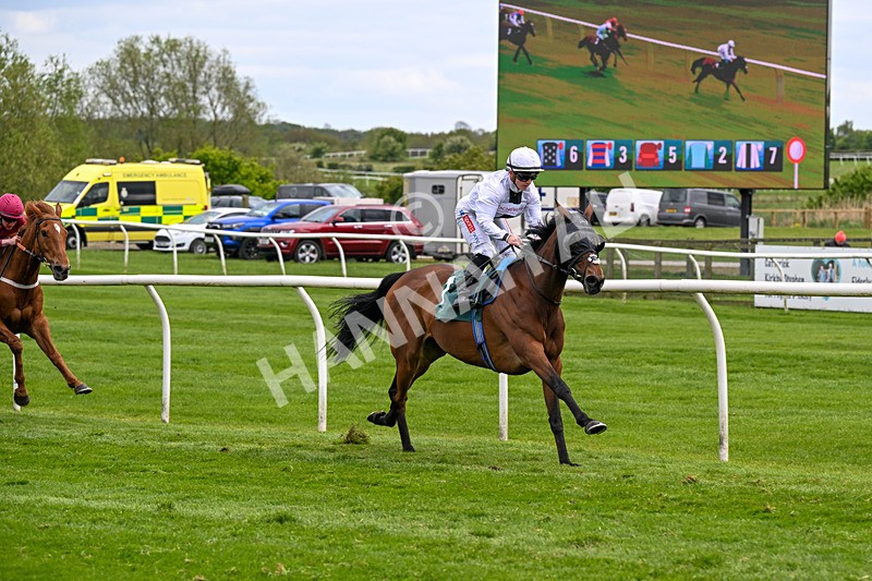 110526-Race 3-Laravie-0685 - Race 3 3.30pm Mick Rose Turns 70 Handicap