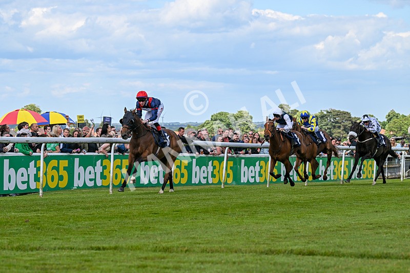 080624-Race 6-Walter Hartright-1706 - Race 6