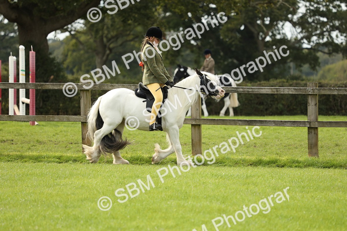 SBM_71482 - S41 - Ridden Equitation (Best Rider)