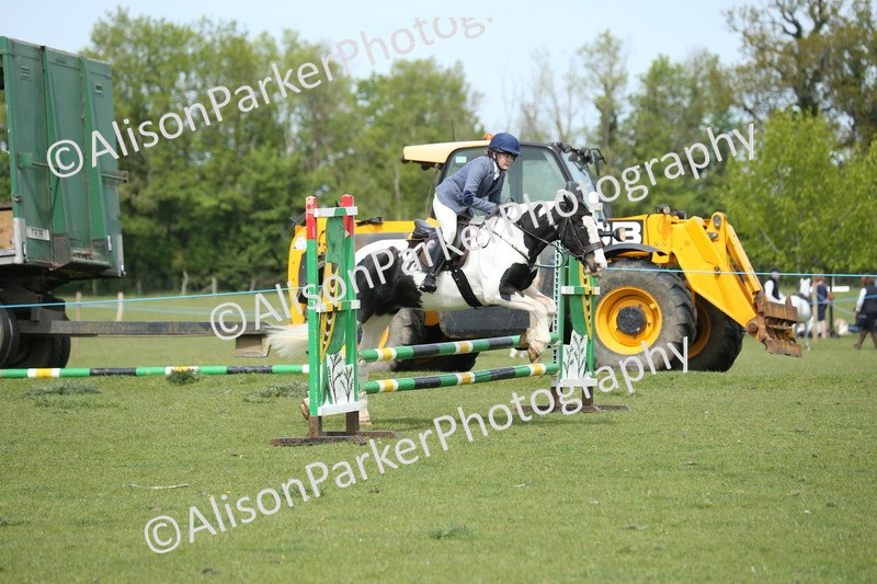 20260426-2052 - Class 15 - Absolute Novice 70cm