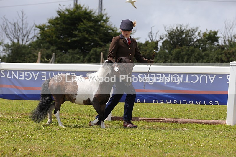 1X9A4777 - Class 35: Veteran In Hand