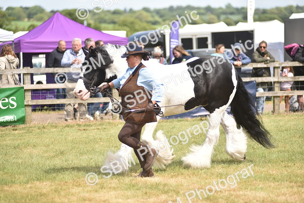 SBM_16061 - Class 117-122 - SSADL RIHS Qualifier