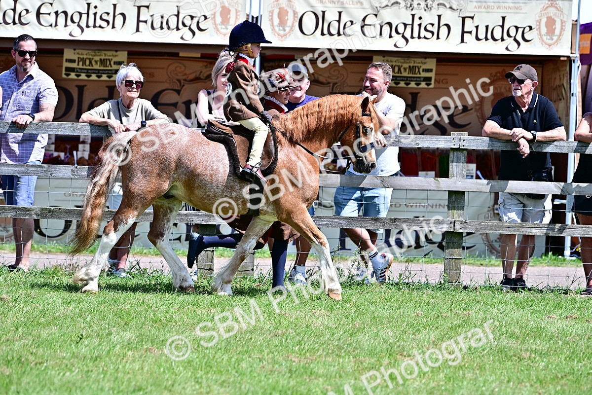 SBM_05752 - Class 59-60 - TSR M&M  Lear Rein and First Ridden Amateur of the year