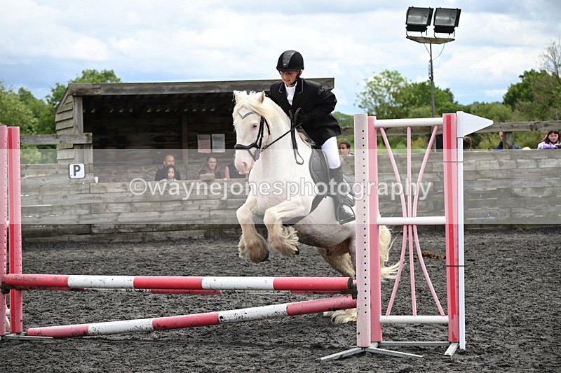 WJ6_0262 - Class 13 Novice 60cm