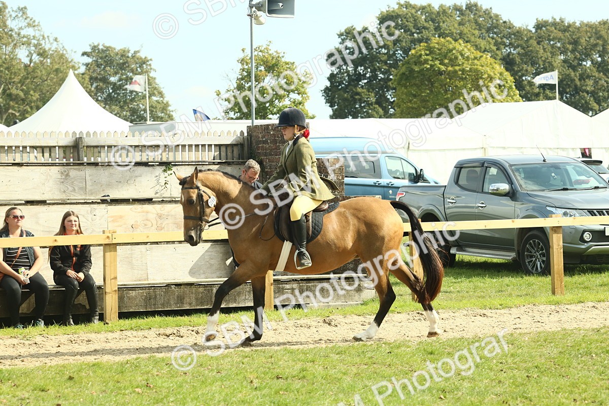 SBM_68876 - S58 - Mini Show Cob Ridden