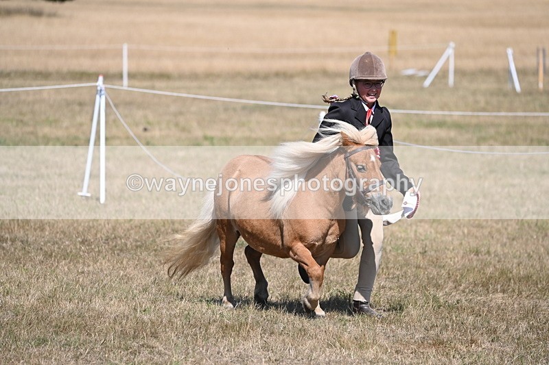 WJ6_9300 - Championship Classes 33-38