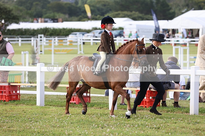 JPP_0270 - Class 14: Cornish Combination Leading Rein
