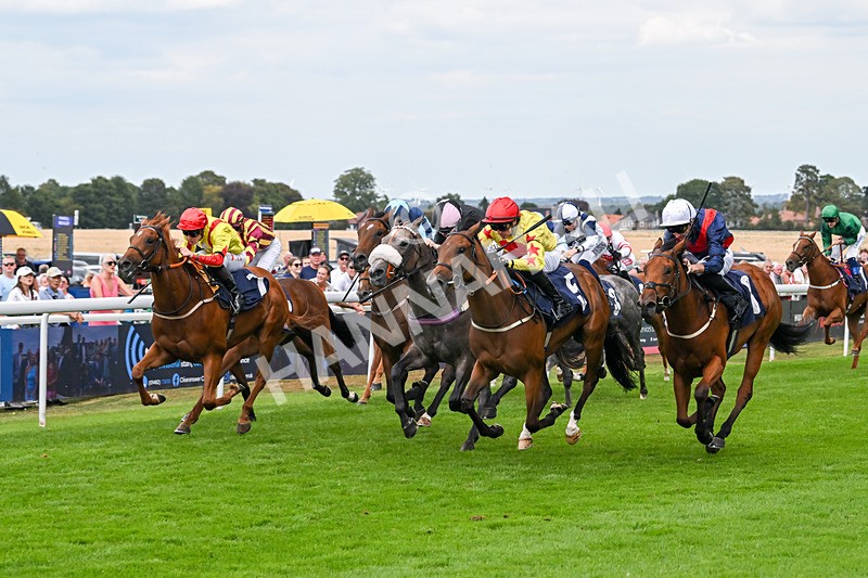 140825-Race 3-Rum Therapy-1042 - Race 3