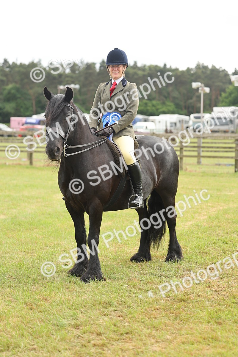 SBM_09156 - Class 78-80 - Ridden M&M Non Welsh Ponies