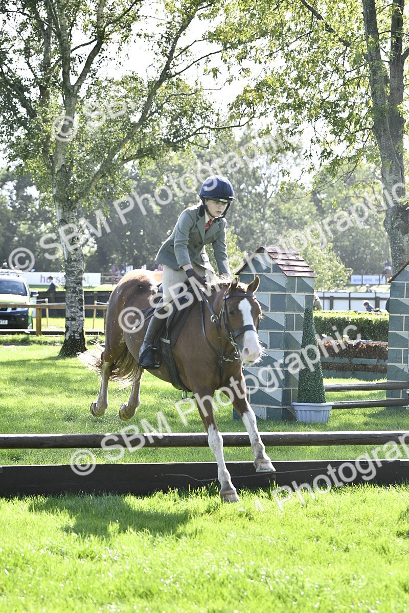 SBM_38213 - S31 - Novice & Newcomer Working Hunter Pony