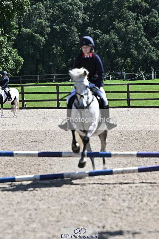 240729B-121518-02615 - Showjumping Competition