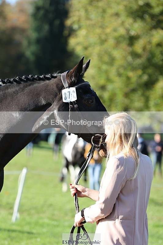 241027-095241-15556 - 372-Michelle.Newnham-LOUIS.HS